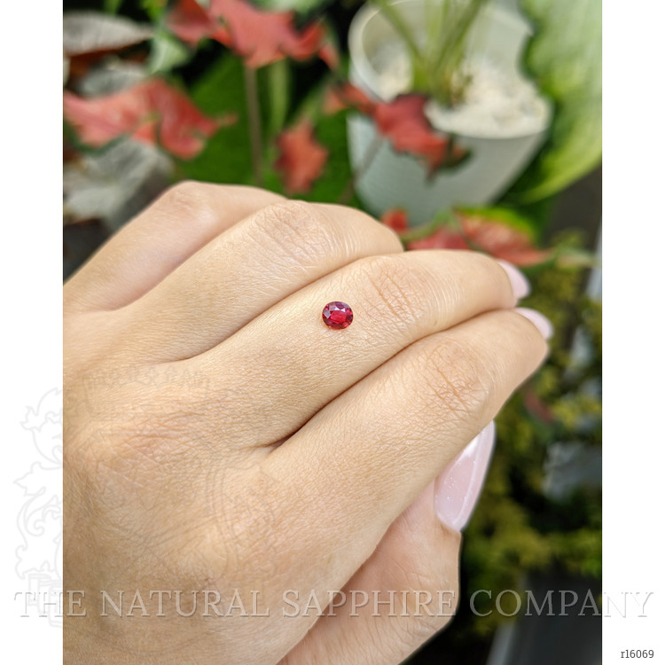 0.43 Ct. Ruby from Mozambique