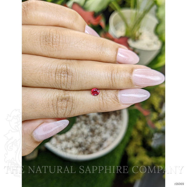 0.43 Ct. Ruby from Mozambique