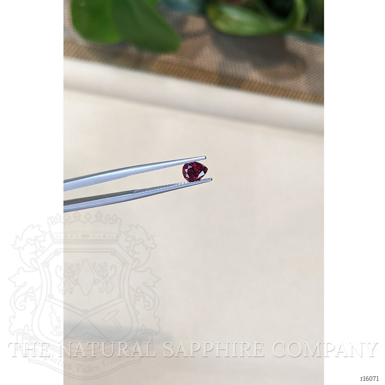 0.70 Ct. Ruby from Ceylon (Sri Lanka)