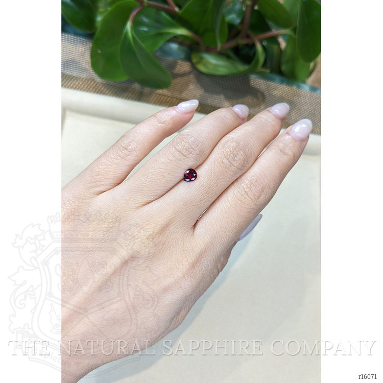 0.70 Ct. Ruby from Ceylon (Sri Lanka)