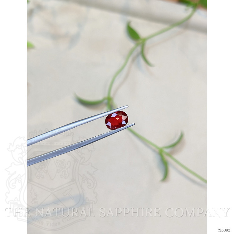 1.59 Ct. Ruby from Mozambique