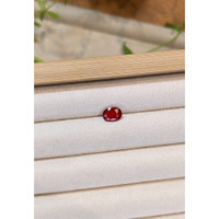 1.59 Ct. Ruby from Mozambique Life Style