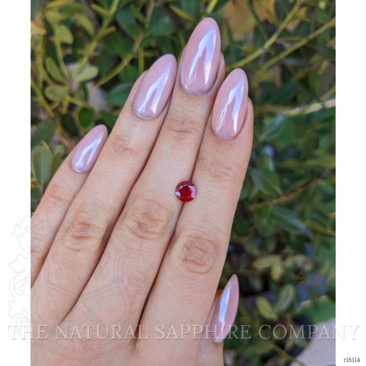 0.83 Ct. Ruby from Mozambique