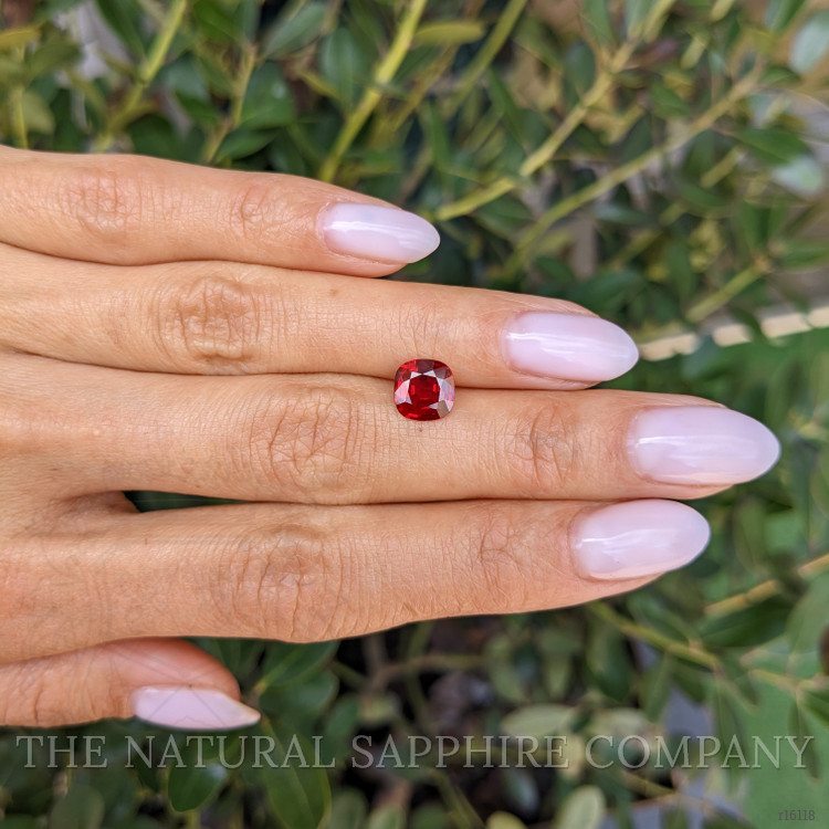 1.57 Ct. Ruby from Mozambique