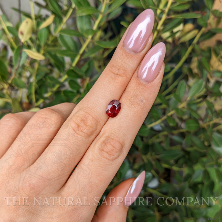 2.53 Ct. Ruby from Mozambique