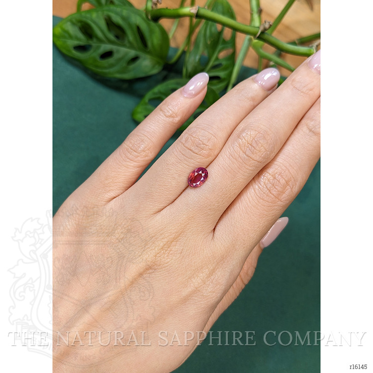 1.59 Ct. Pinkish Red Ruby from Ceylon (Sri Lanka)