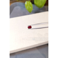 0.99 Ct. Ruby from Mozambique Life Style