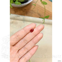 1.71 Ct. Ruby from Mozambique Life Style