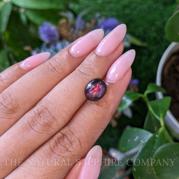 6.57 Ct. Purplish Red Star Ruby from Tanzania