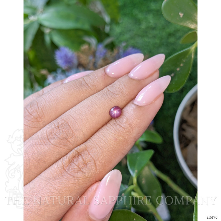 0.79 Ct. Purplish Red Star Ruby from Tanzania