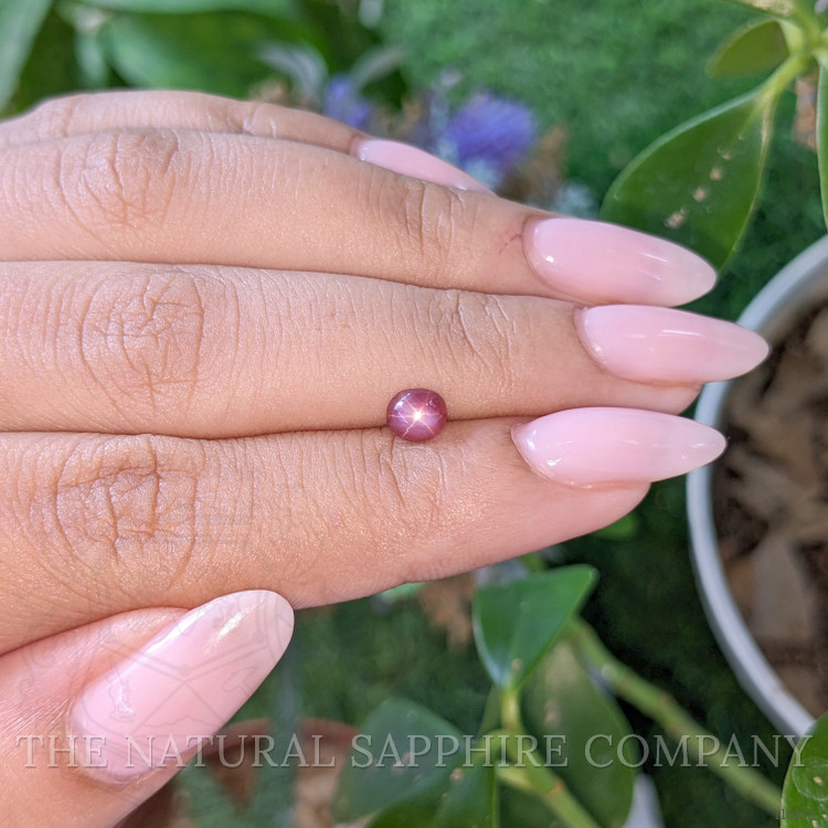 0.79 Ct. Purplish Red Star Ruby from Tanzania