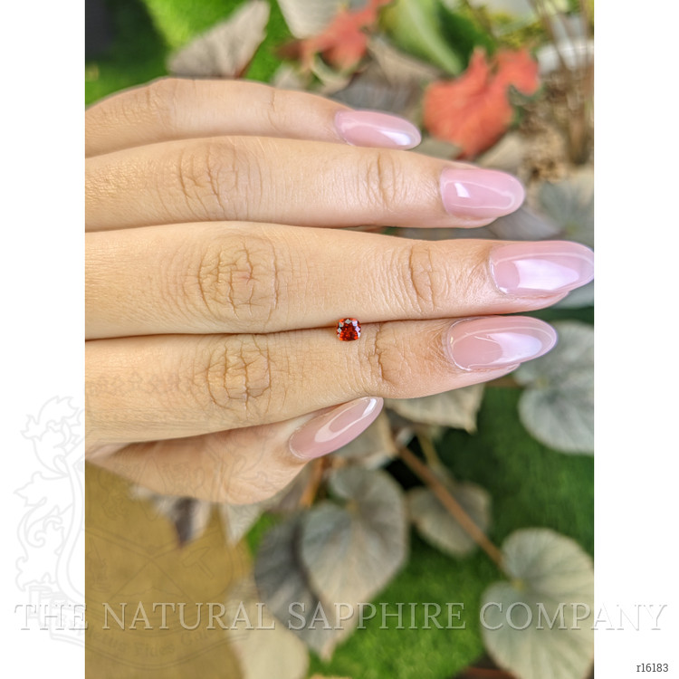 0.24 Ct. Orangish Red Ruby from Burma (Myanmar)