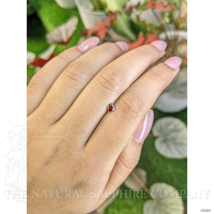 0.24 Ct. Orangish Red Ruby from Burma (Myanmar)