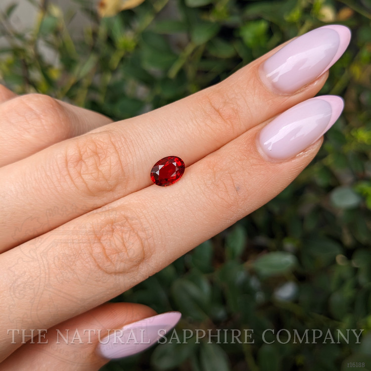 1.71 Ct. Ruby from Mozambique