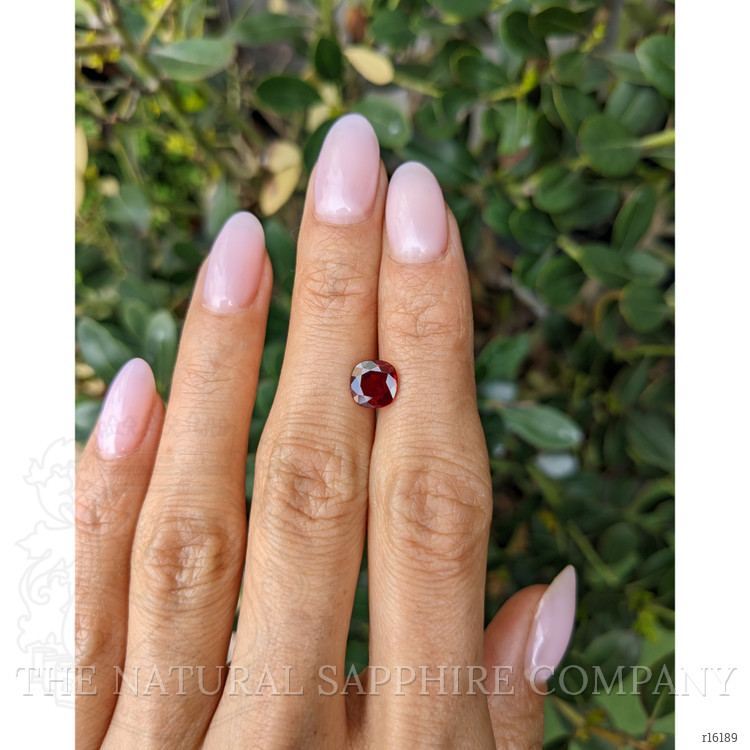 1.40 Ct. Ruby from Burma (Myanmar)