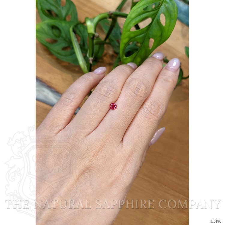 1.00 Ct. Ruby from Mozambique