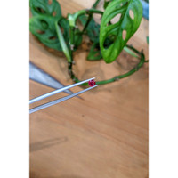 1.00 Ct. Ruby from Mozambique Life Style