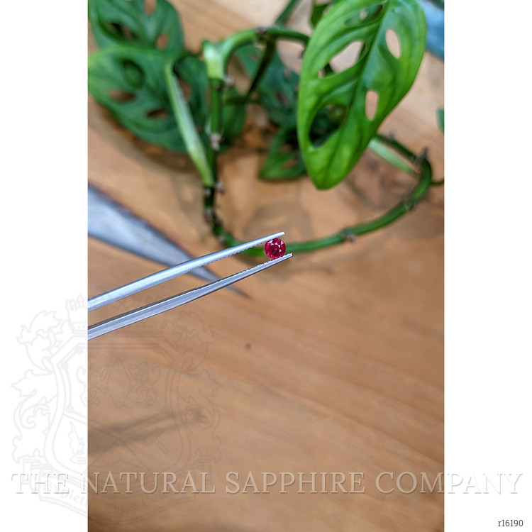1.00 Ct. Ruby from Mozambique