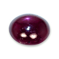5.83 Ct. Purplish Red Star Ruby from Mozambique Video