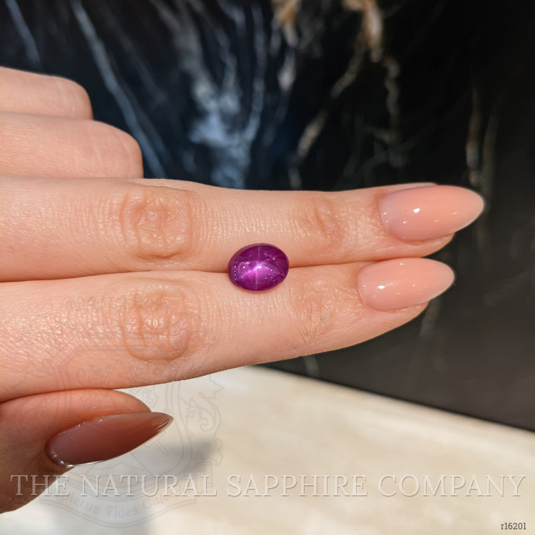 5.93 Ct. Purplish Red Star Ruby from Mozambique