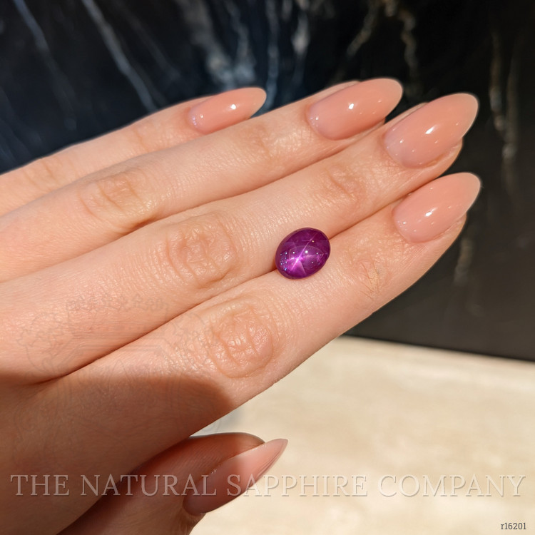 5.93 Ct. Purplish Red Star Ruby from Mozambique