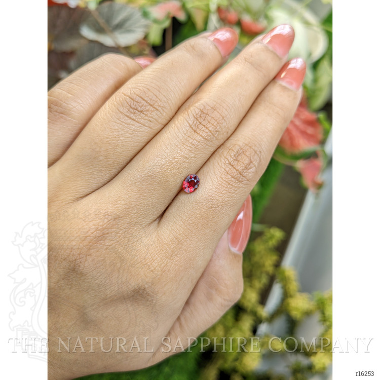 0.68 Ct. Ruby from Ceylon (Sri Lanka)