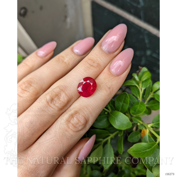 8.88 Ct. Ruby from Burma (Myanmar)