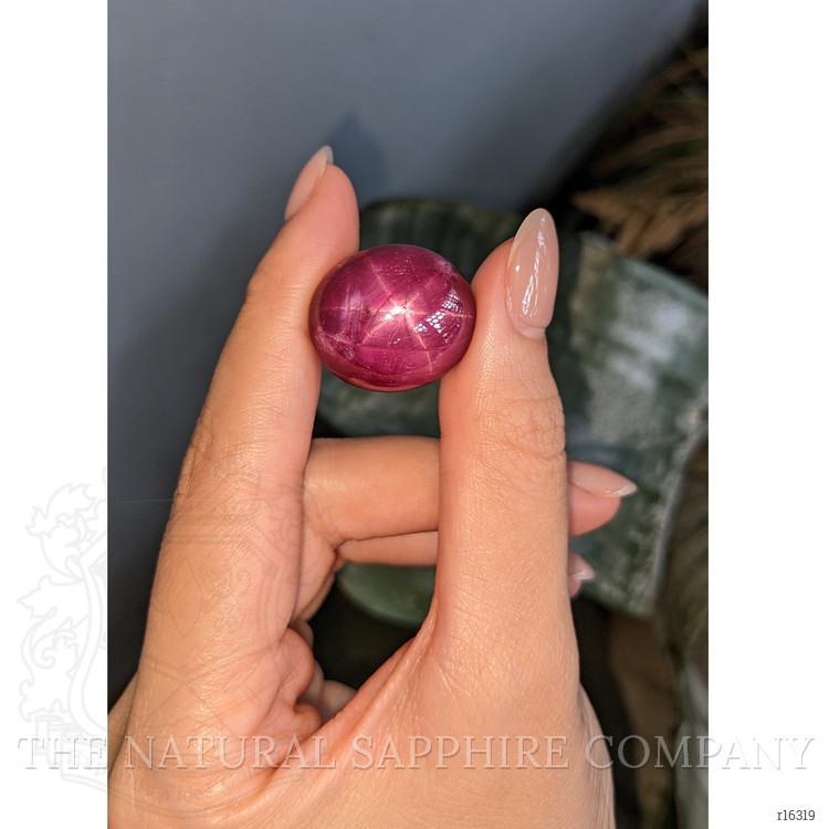61.54 Ct. Purplish Red Star Ruby from Madagascar