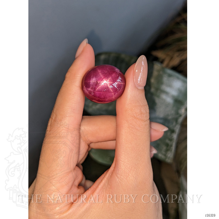 61.54 Ct. Purplish Red Star Ruby from Madagascar