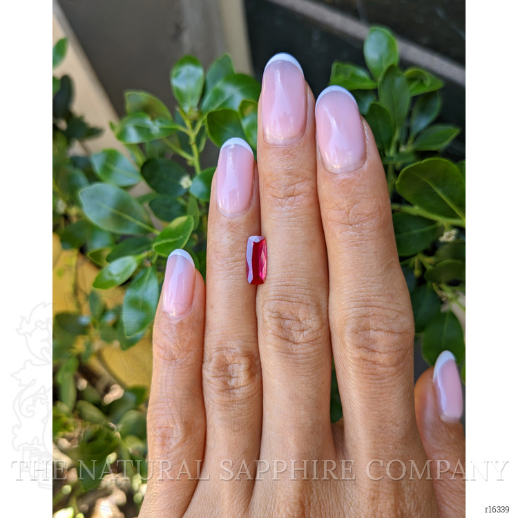 1.37 Ct. Ruby from Mozambique