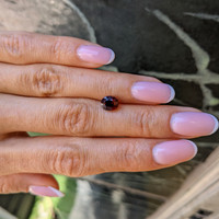 1.73 Ct. Ruby from Mozambique Life Style