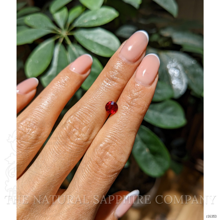 0.93 Ct. Ruby from Mozambique
