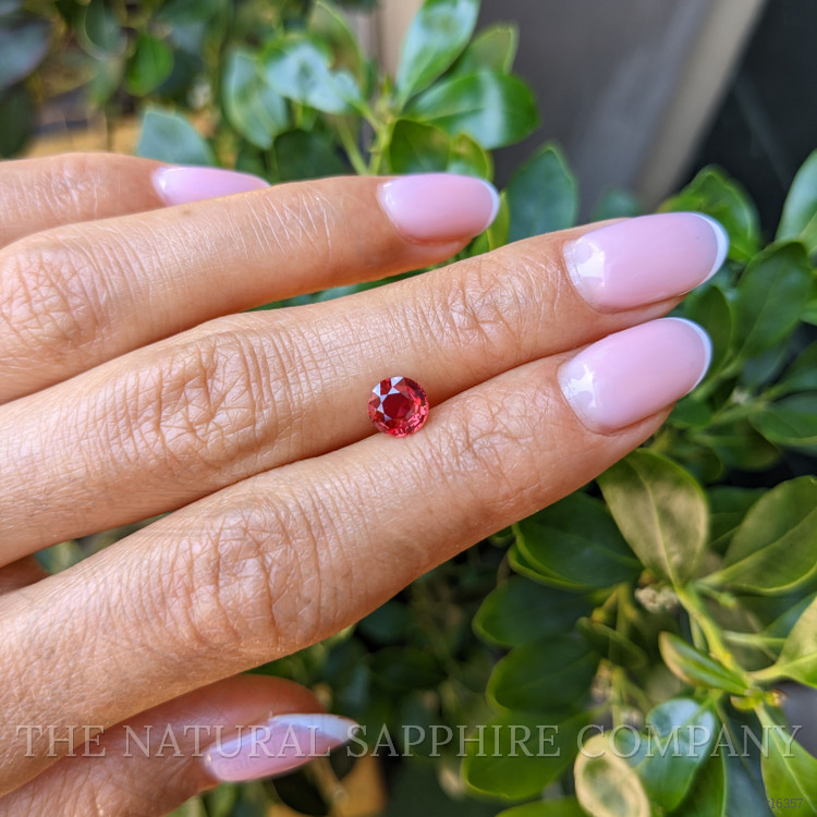 1.01 Ct. Ruby from Mozambique