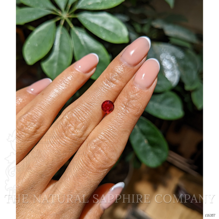 1.01 Ct. Ruby from Mozambique