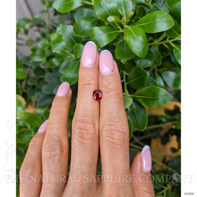 1.09 Ct. Ruby from Mozambique