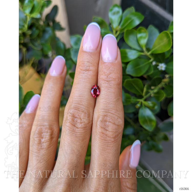 1.14 Ct. Ruby from Mozambique