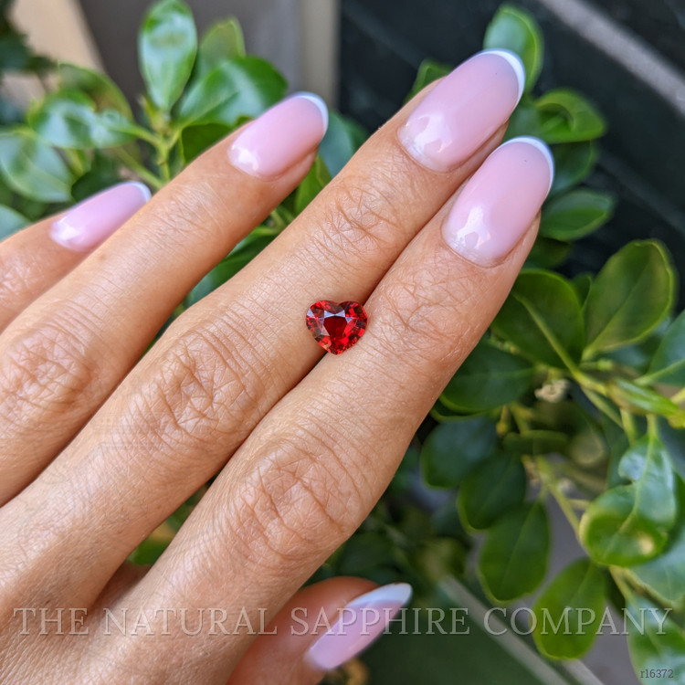 1.52 Ct. Ruby from Mozambique