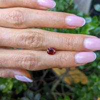 1.30 Ct. Ruby from Burma (Myanmar) Life Style