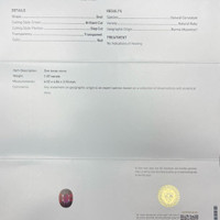 Jewelry Scan Report