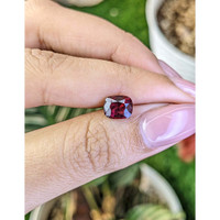 2.03 Ct. Purplish Red Ruby from Ceylon (Sri Lanka) Life Style