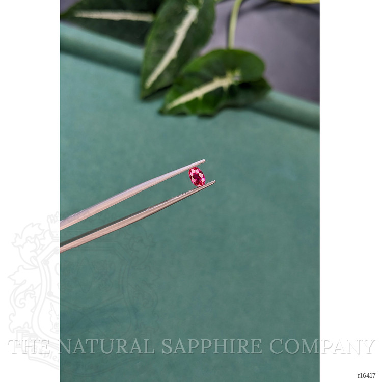 0.65 Ct. Pinkish Red Ruby from Mozambique