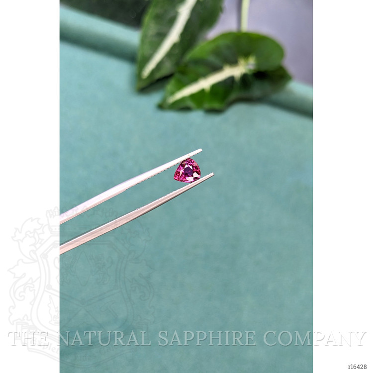 1.19 Ct. Purplish Red Ruby from Mozambique