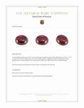 43.52 Ct. Purplish Red Cabochon Ruby from Mozambique Appraisal