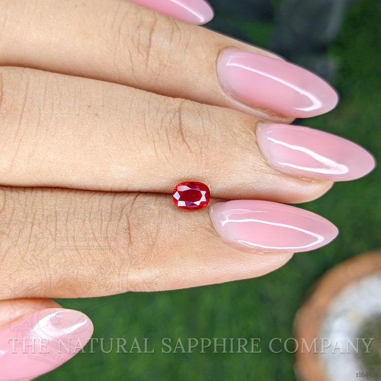 0.49 Ct. Ruby from Mozambique