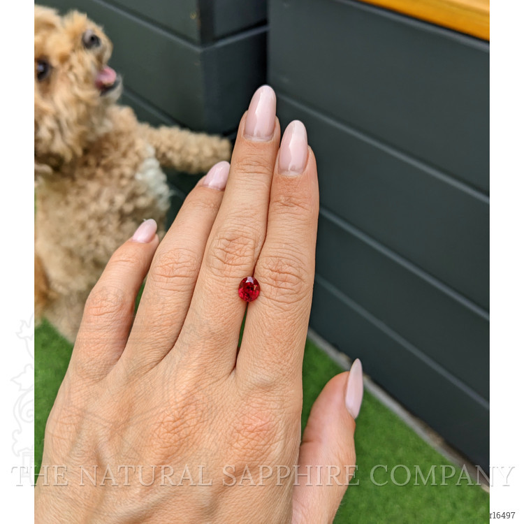 1.61 Ct. Ruby from Burma (Myanmar)