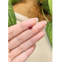 0.84 Ct. Ruby from Thailand Life Style