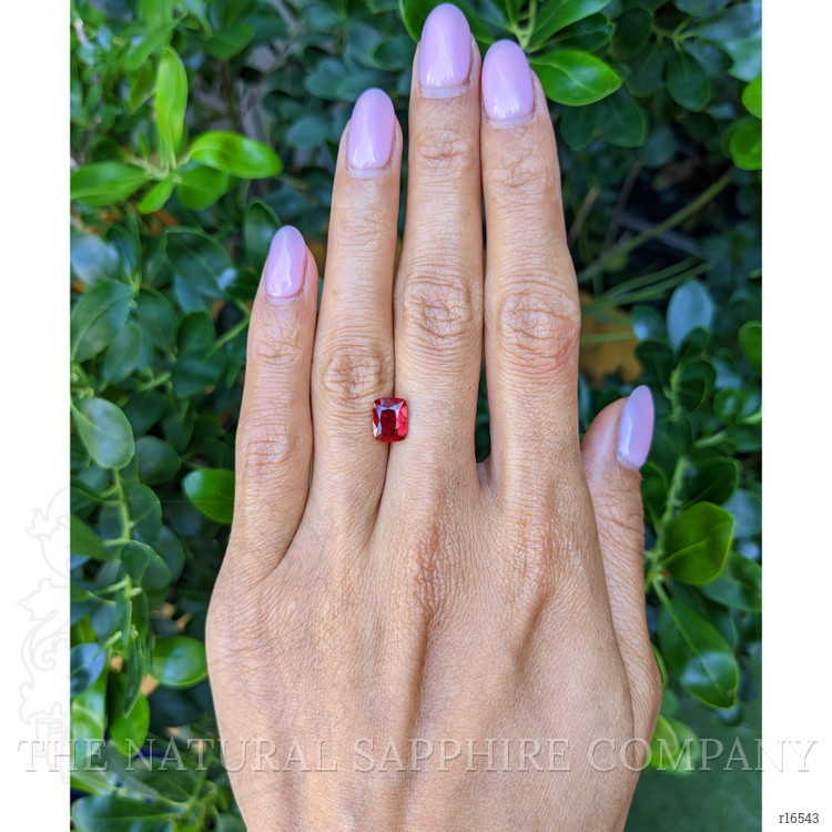 1.99 Ct. Ruby from Mozambique
