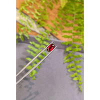 2.07 Ct. Ruby from Mozambique Life Style