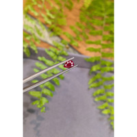 0.87 Ct. Ruby from Burma (Myanmar) Life Style