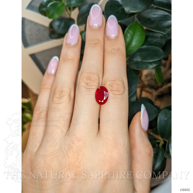 5.64 Ct. Ruby from Mozambique